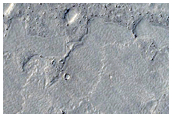 Flows in Southern Elysium Planitia