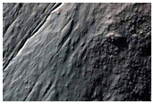 Gullies on Pole-Facing Slope