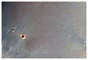 Possible Olivine in Tyrrhena Region Crater