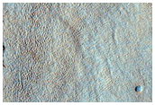Crater Floor with Concentric Cracks