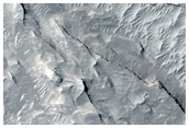 Crater with Fans in Aeolis Region