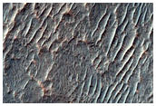 Possible Olivine Detection in Degraded Crater