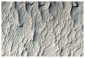 Mesas in Depression and Channel in Gigas Sulci