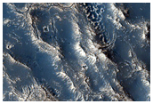 Varied Surface Textures near Elysium Region