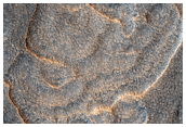 Schulpen, veelhoeken en rotsblokken in Utopia Planitia