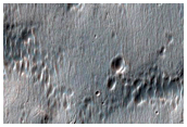 Possible Olivine-Rich Crater Fill in Terra Sirenum