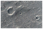 Corinto Crater Secondaries and Wrinkle Ridge