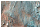 East Coprates Chasma Dune Fields and Wall Rock