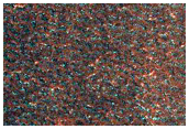 Scarps in Vastitas Borealis