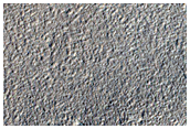 Craters and Ridges in Northwest Elysium Planitia