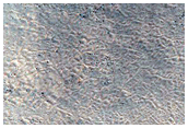 Sample Northern Plains