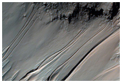 Nirgal Vallis Gullies Visible in CTX Image P19_008470_1512