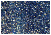 Sample Northern Plains