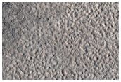 Fresh Small Impact Crater