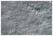 Gullied Crater in Terra Cimmeria