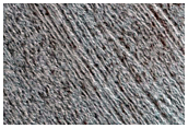 Sample of North Polar Layers in Spring