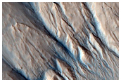 Gullies along Mesa Wall in North Tempe Terra