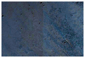 South Rim of Oudemans Crater