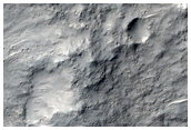 Central Uplift of a Large Impact Crater
