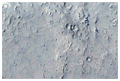 Ring and Cone Structures in Elysium Planitia