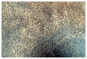 Sample Northern Plains