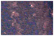 Sample Northern Plains