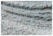 Exposure of Polar Layered Deposits on Ridges and Troughs