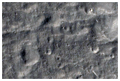 Fresh Craters within Utopia Planitia