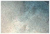 Gullied Crater Wall