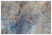 Northern Plains Surface with Large Polygonal Forms