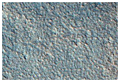 Pedestal Crater Marginal Pits