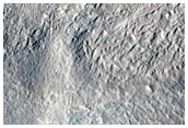 Ridge Features