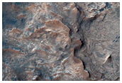 Mawrth Vallis Possible Phyllosilicates