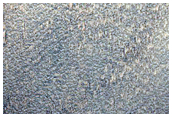 Sample of Linear Depression Terminating in Cliff in Noctis Labyrinthus