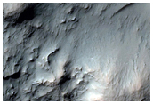 Rocky Carter Floor and Wall