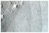 Impact-Induced Fan Formation in Phlegra Dorsa