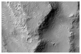 Near the Mouth of Morava Valles