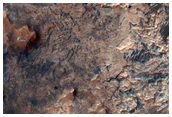 Mawrth Vallis Possible Phyllosilicates