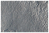 Impact Monitoring in Arcadia Planitia