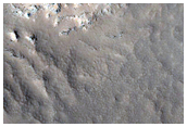 Gully Monitoring