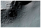 Small Gullies in Shallow Crater in Terra Cimmeria