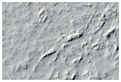 Relatively Recent Impact Crater in Elysium Planitia