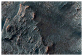 Exhumed Fans in Syrtis Major Planum with Possible Clays