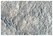 Flow Features among Protonilus Mensae