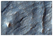 Ridges on Lobate Flow from Hrad Vallis