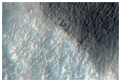 Gully Monitoring