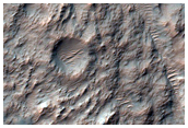 Layered Flow Ejecta