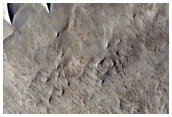 Raised Ridges in Nilosyrtis Mensae
