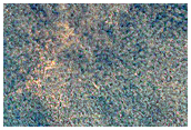 Persistent Northern Plains Ice Deposit Monitoring