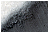 Possible Future Mars Landing Site of 2018 Joint Rover in Cerberus Palus